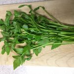 セリの効果・効能と食べ方・煎じ方|風邪予防/整腸作用/疲労回復に