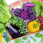 体質に合った食を摂取する食事法で健康維持|体質と栄養素の関係